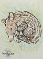 Tapir
